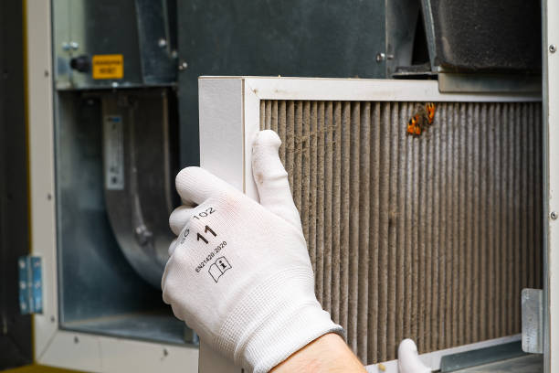Best Affordable Duct Cleaning Services  in Mantachie, MS